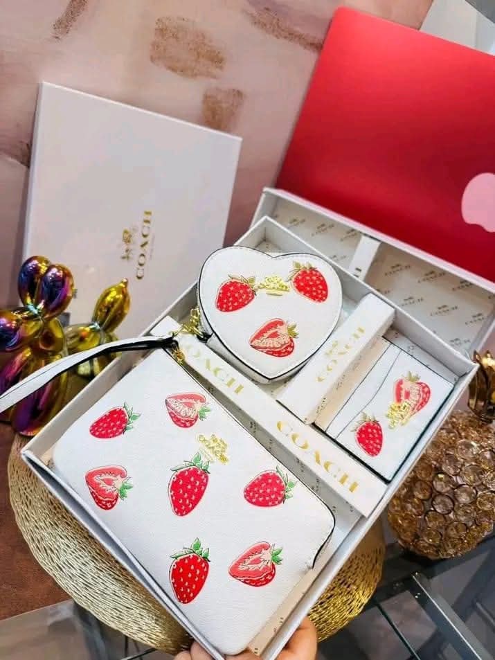 3-in-1 Coach Designer Gift Sets