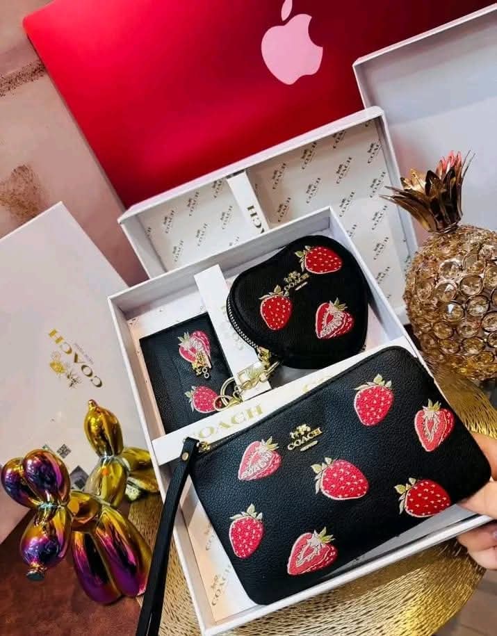 3-in-1 Coach Designer Gift Sets