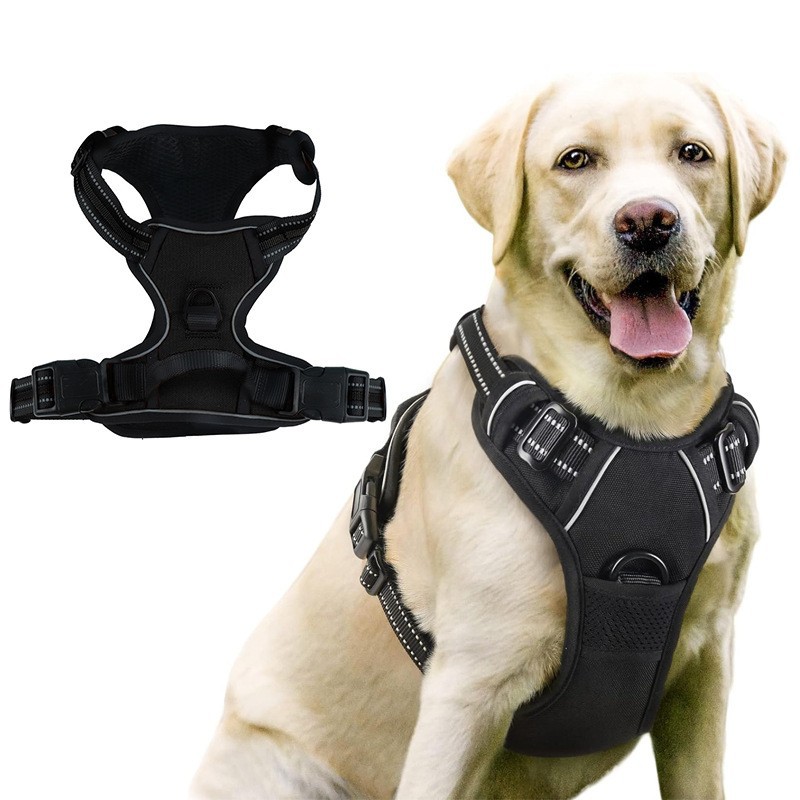 Dog Harness