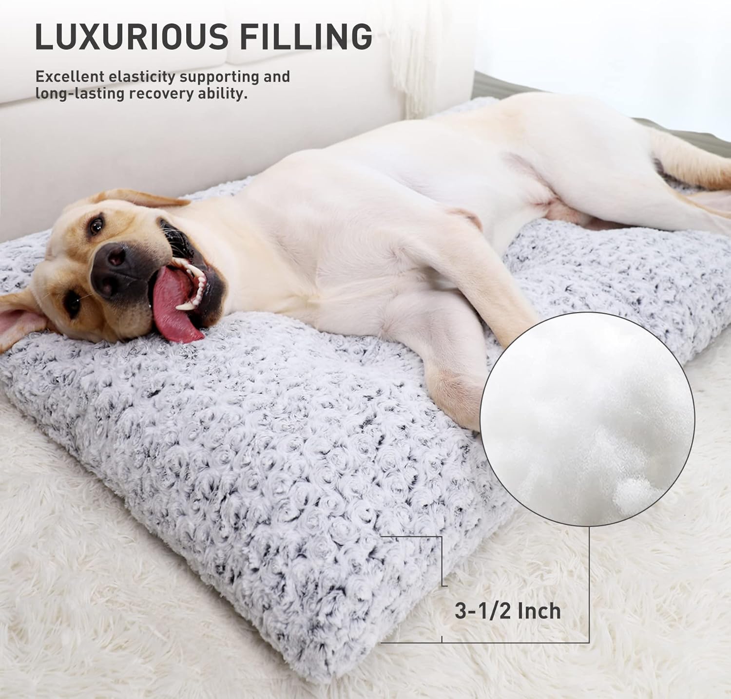 Deluxe Dog Bed 
