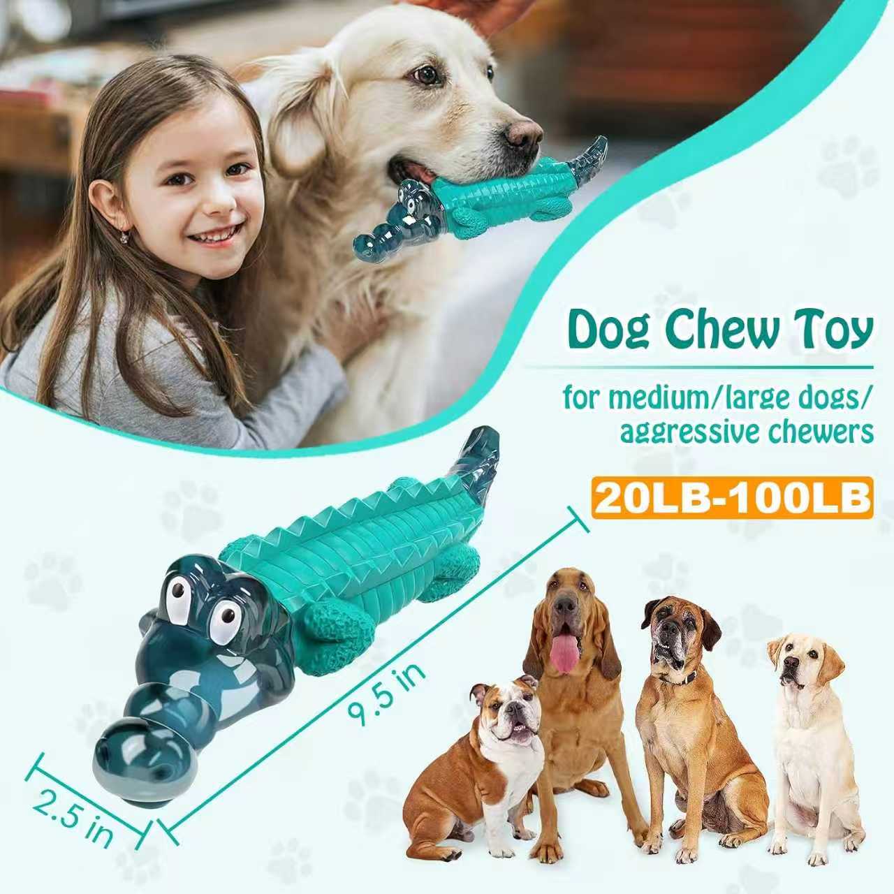 Squeaky Dog Chew Toy