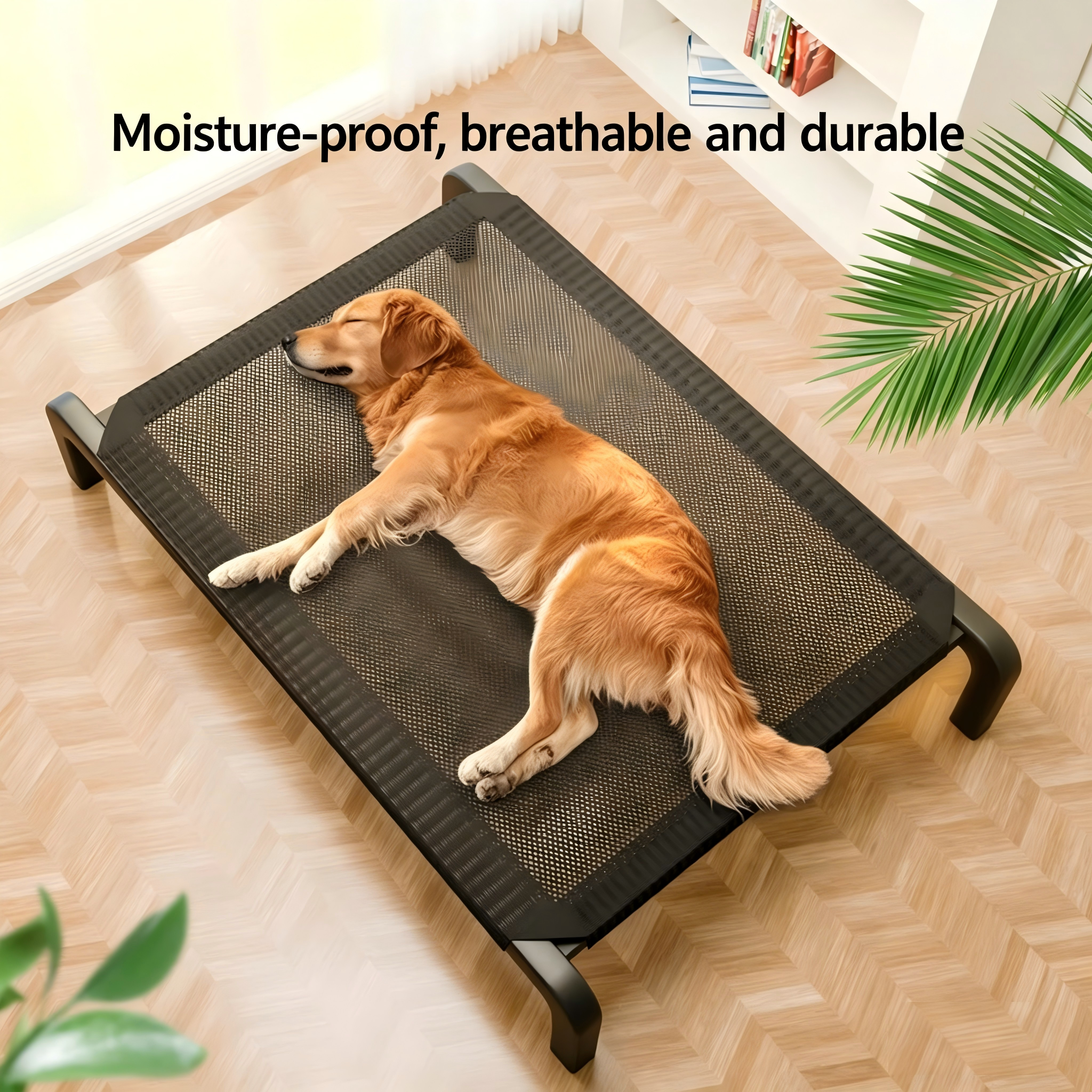 Raised Dog Bed