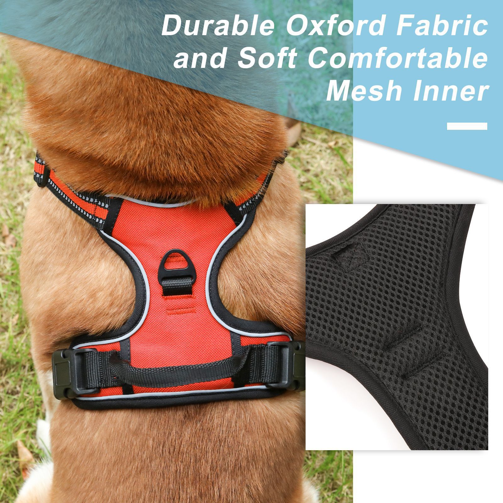 Dog Harness