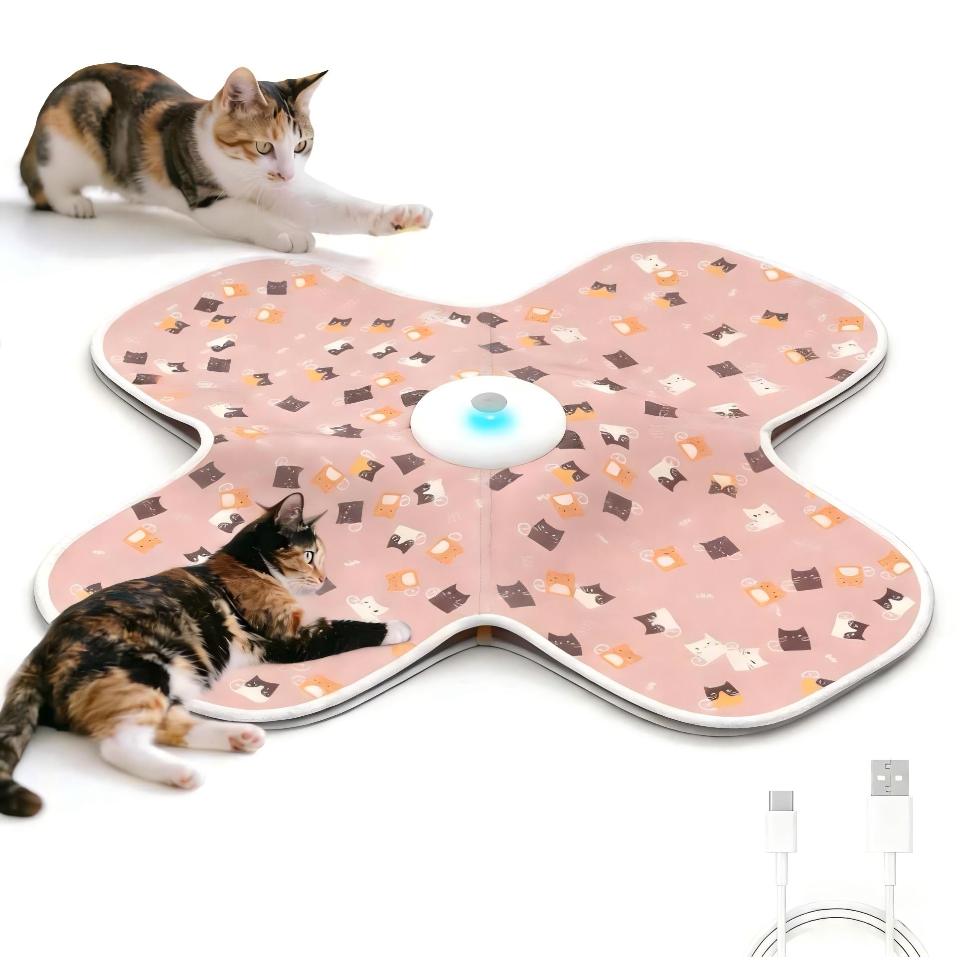 Hide and Seek Blanket Cat Toys