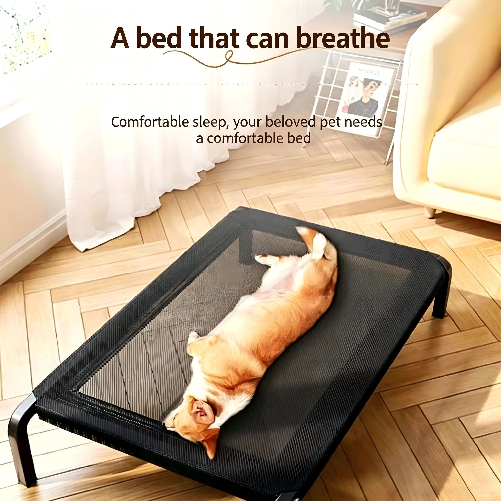Raised Dog Bed