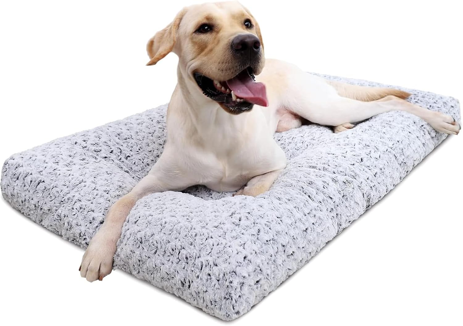 Deluxe Dog Bed 