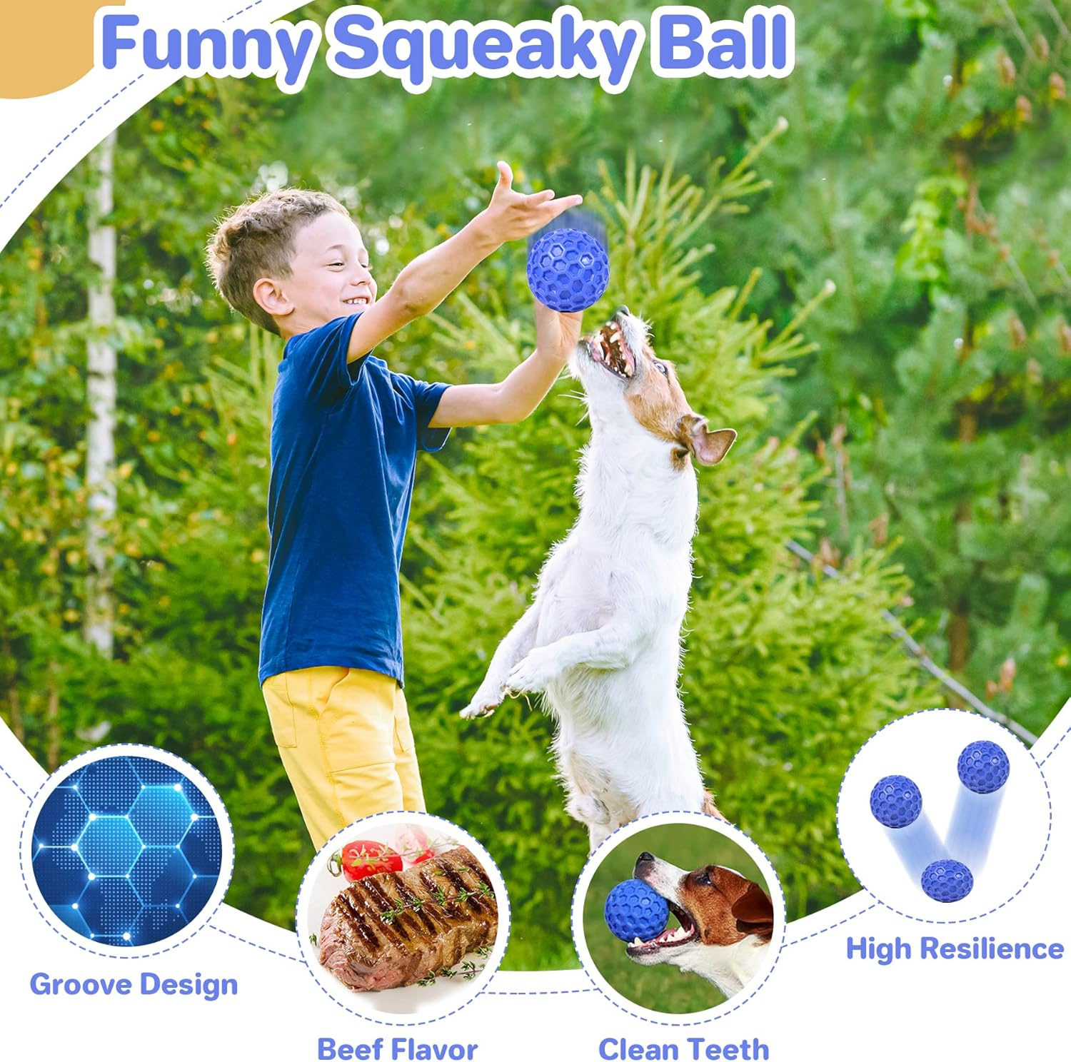Squeaky Dog Ball