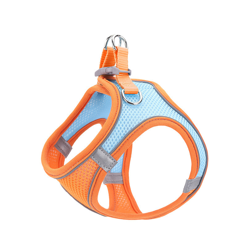 Dog Harness