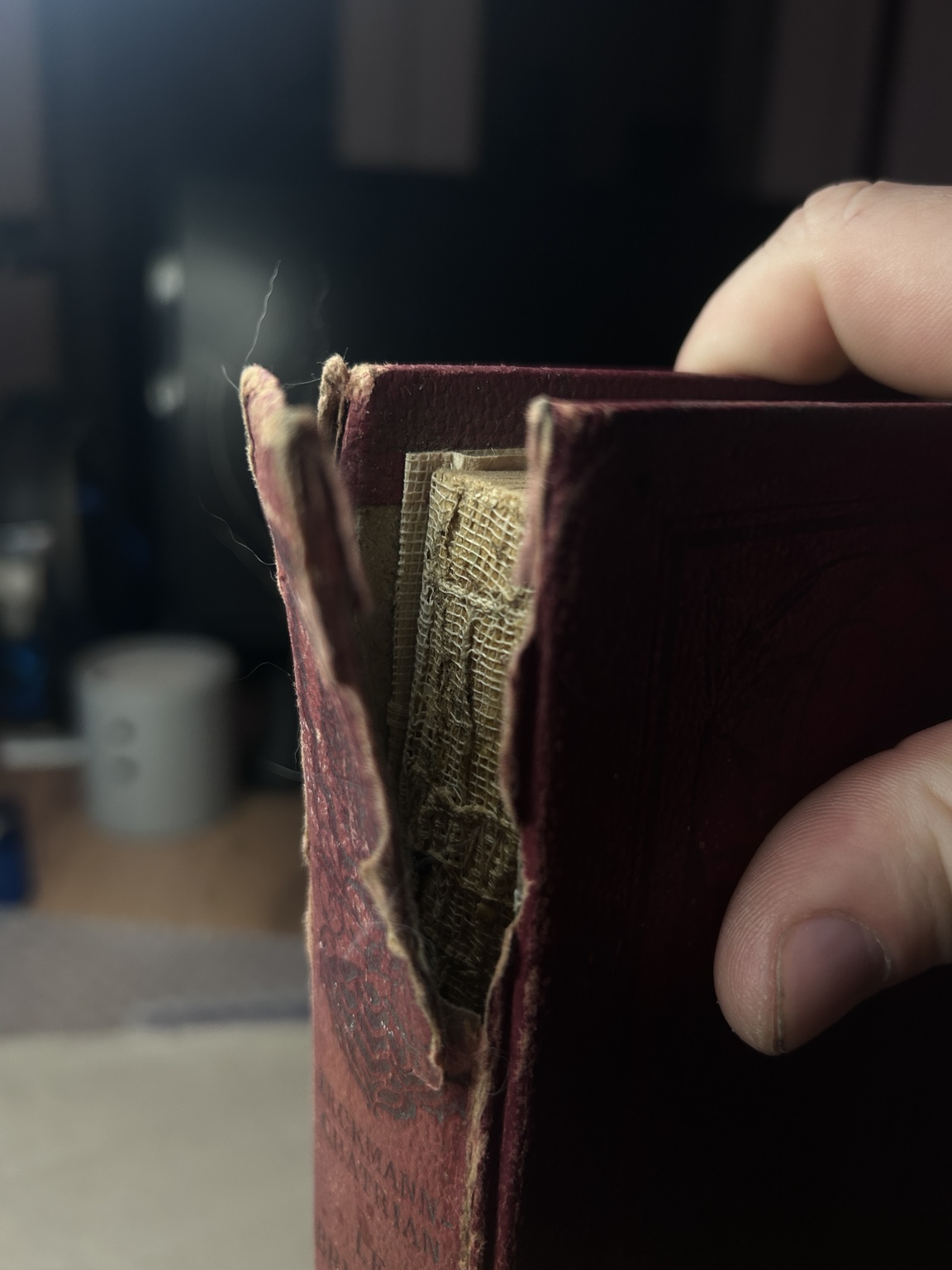 RESTAURATION  / CONCERVATION D’OUVRAGES