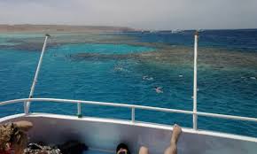 Sha'ab Sabina Speed Boat Private Adventure