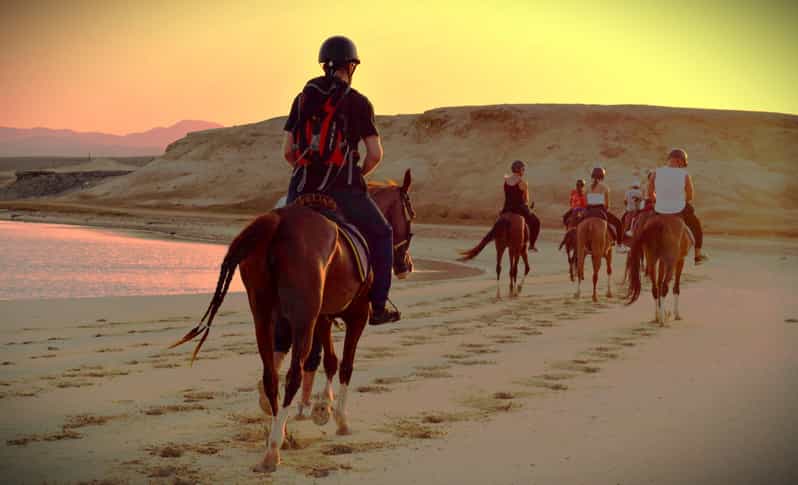 Horse Riding Safari Desert-Sea