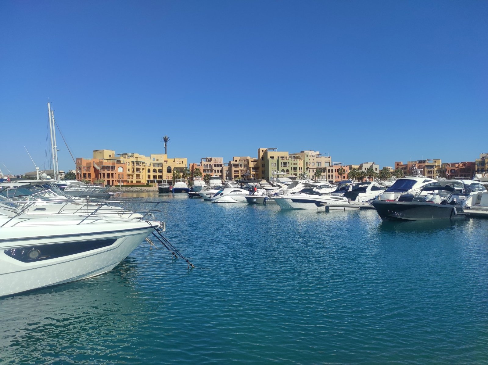 Elgouna  City Tour