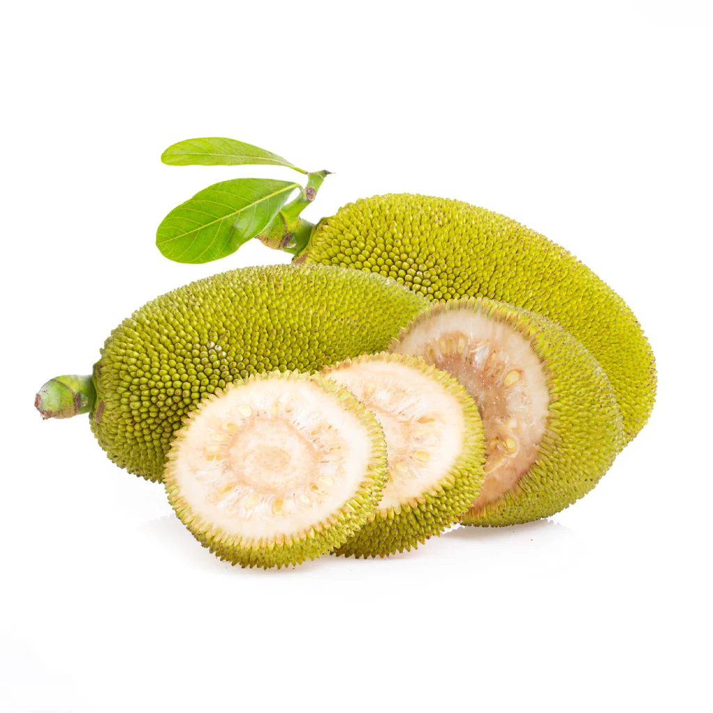 Tender Jackfruit 300g