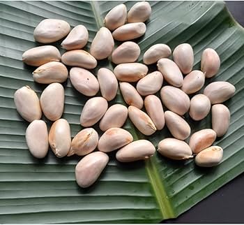 Chakkakuru Cleaned 100g