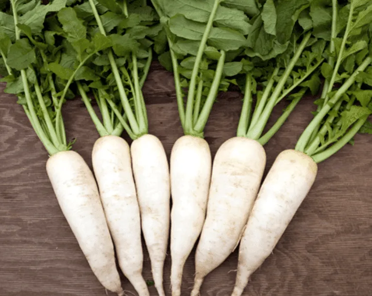 Radish 300g