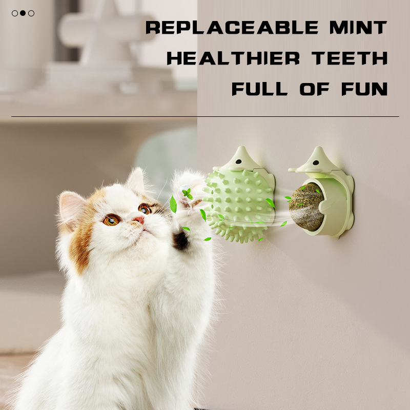 Catnip Teeth Cleaning Toy