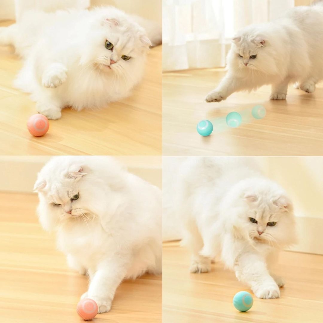 Automatic Interactive Cat Toy Ball