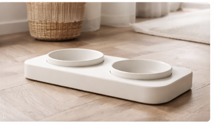Modern Pet Feeding Station