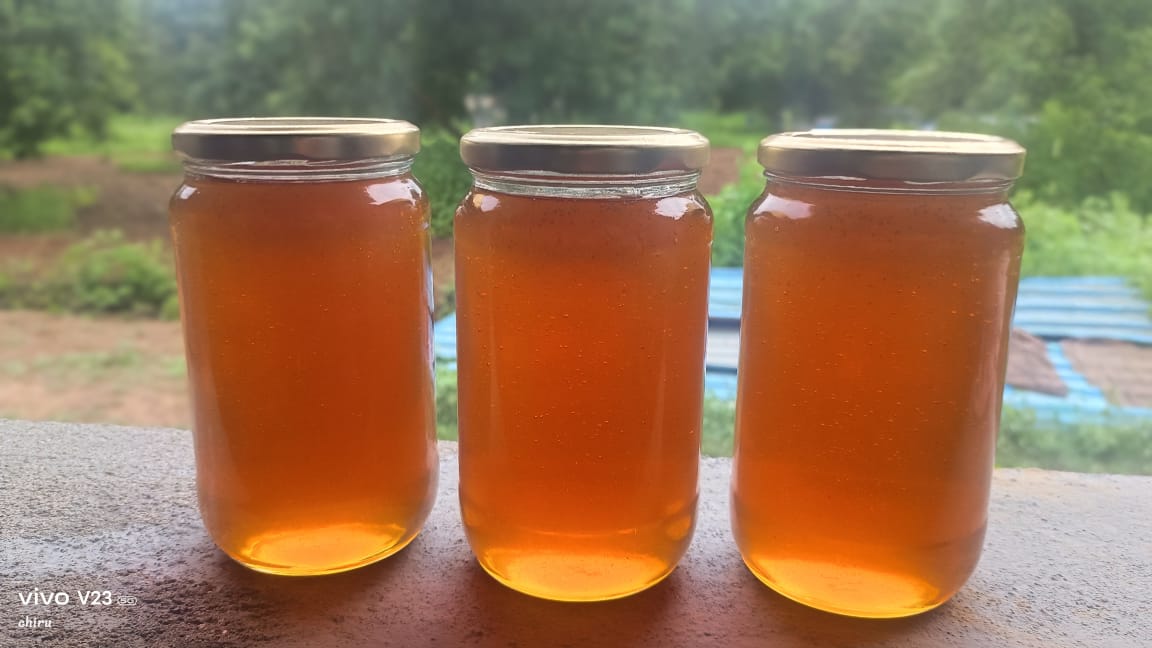Pure Forest Honey