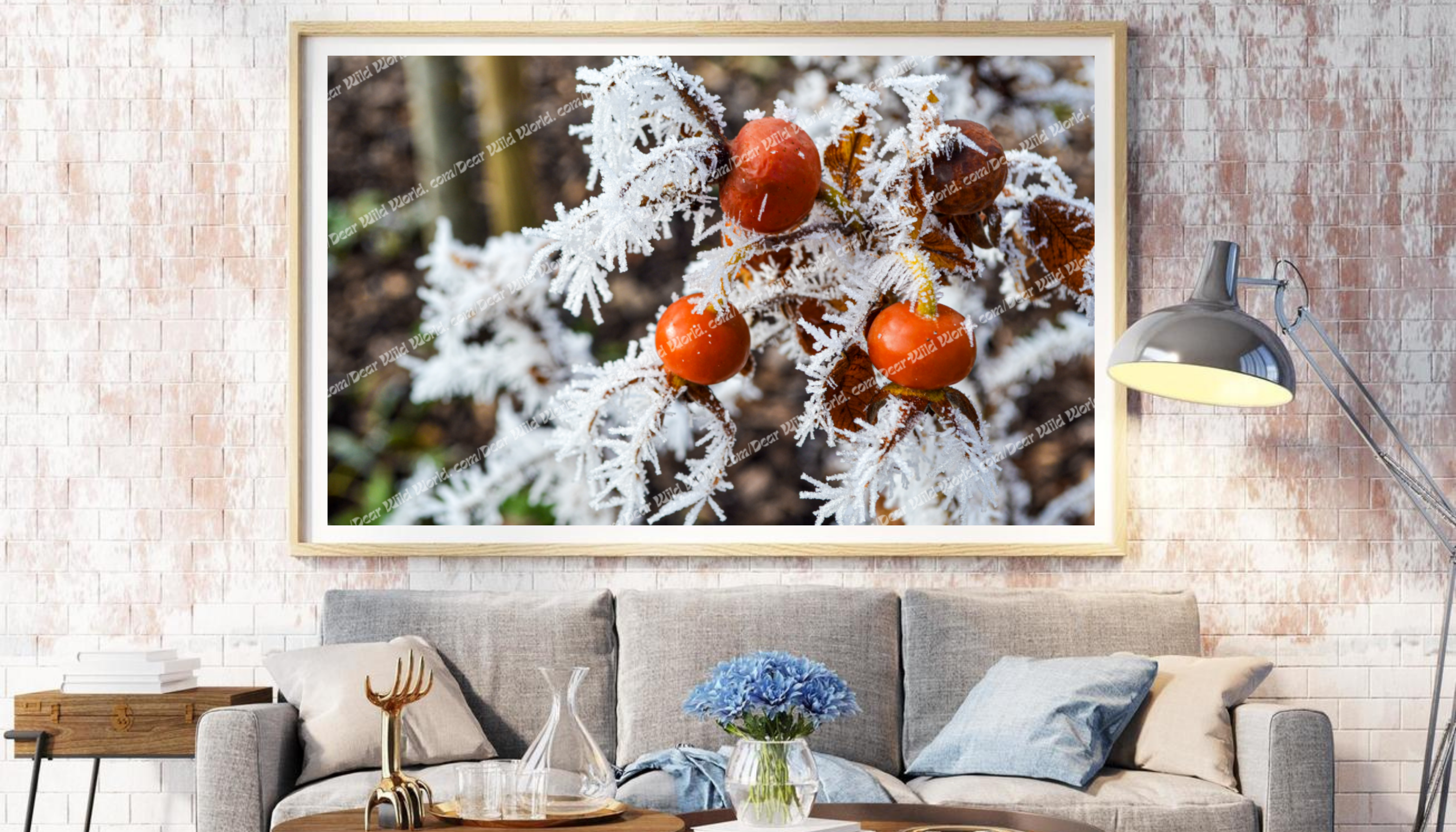 Pommier  d’ornement givrées