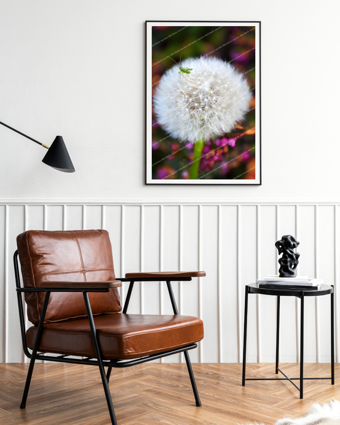 Sauterelle et pissenlit