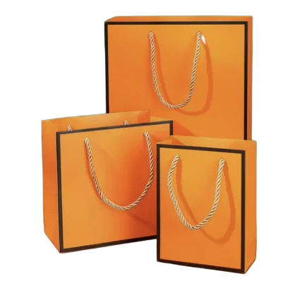 Orange Gift Bags Set