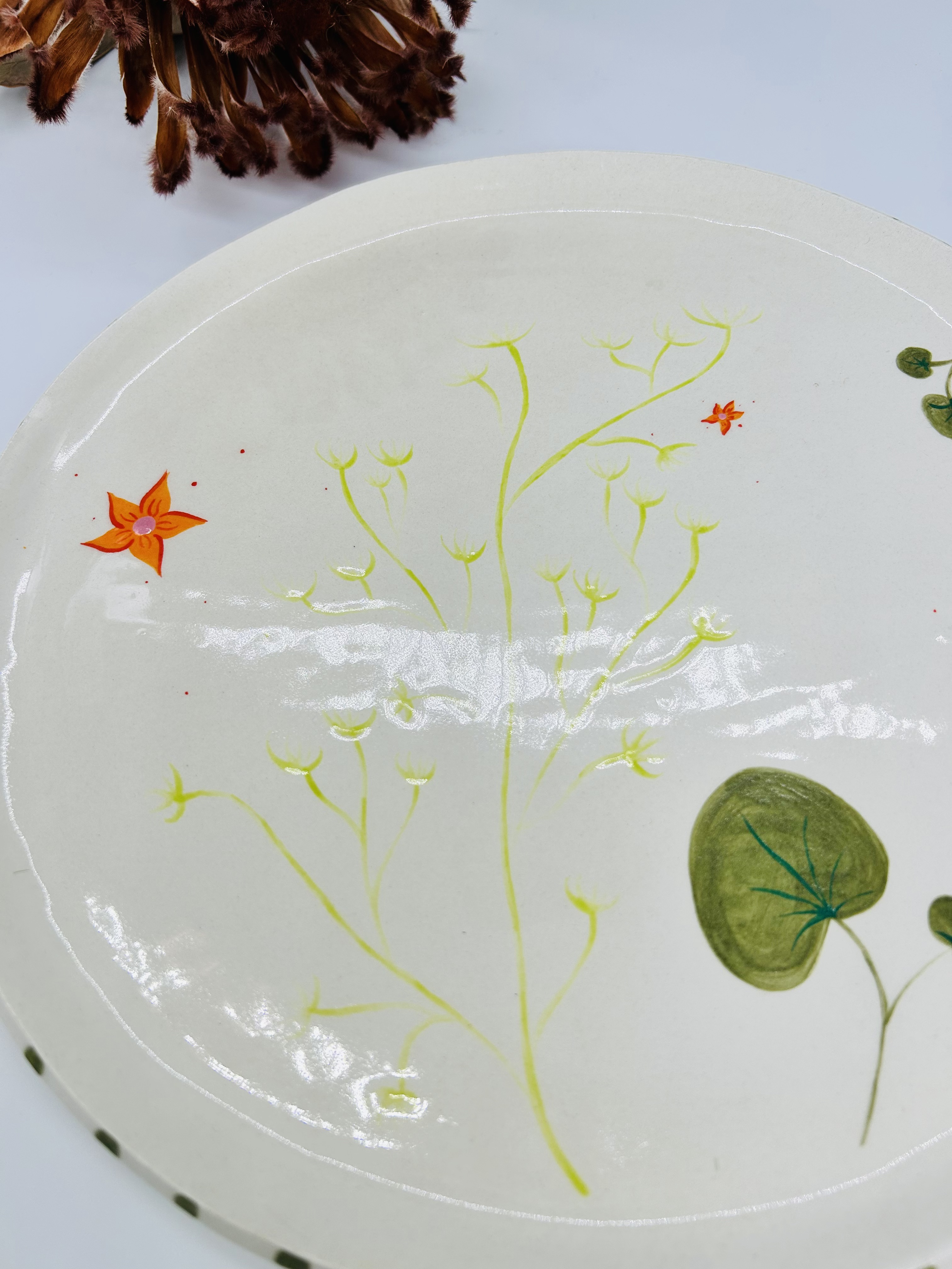 Lėkštė Vandens augalai