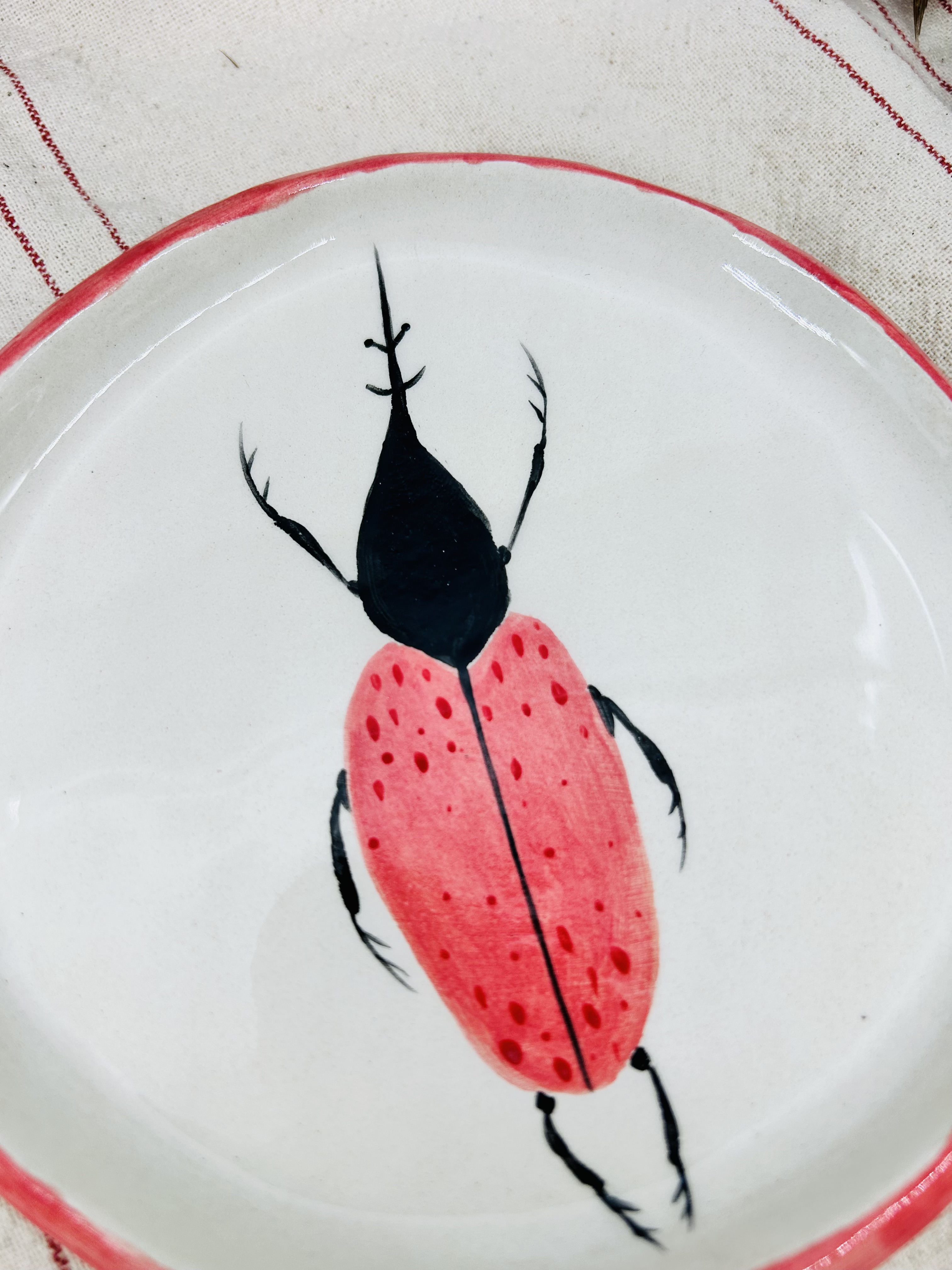 Lėkštė Spalvotas vabaliukas