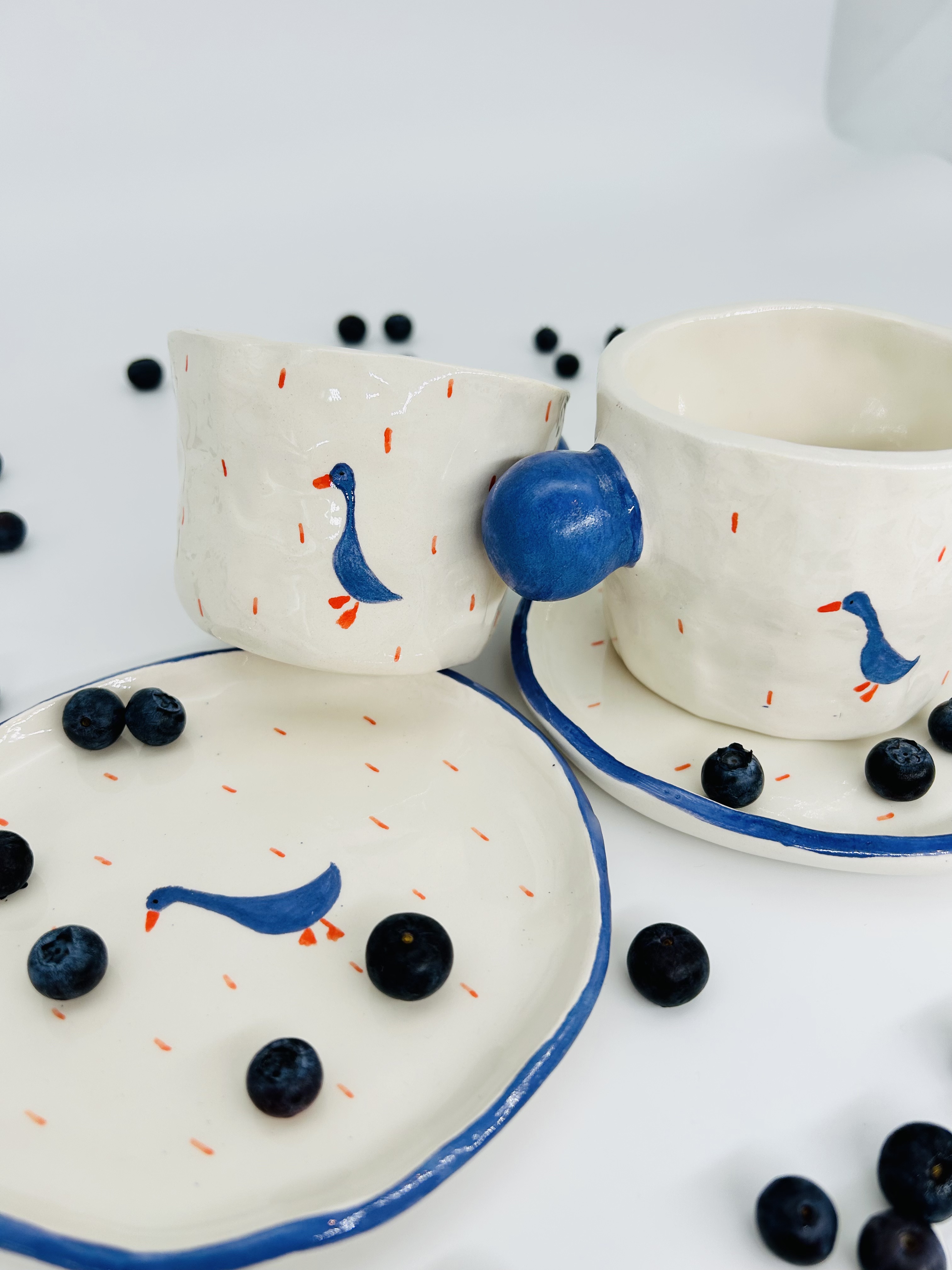 Puodelis Kosminės antys