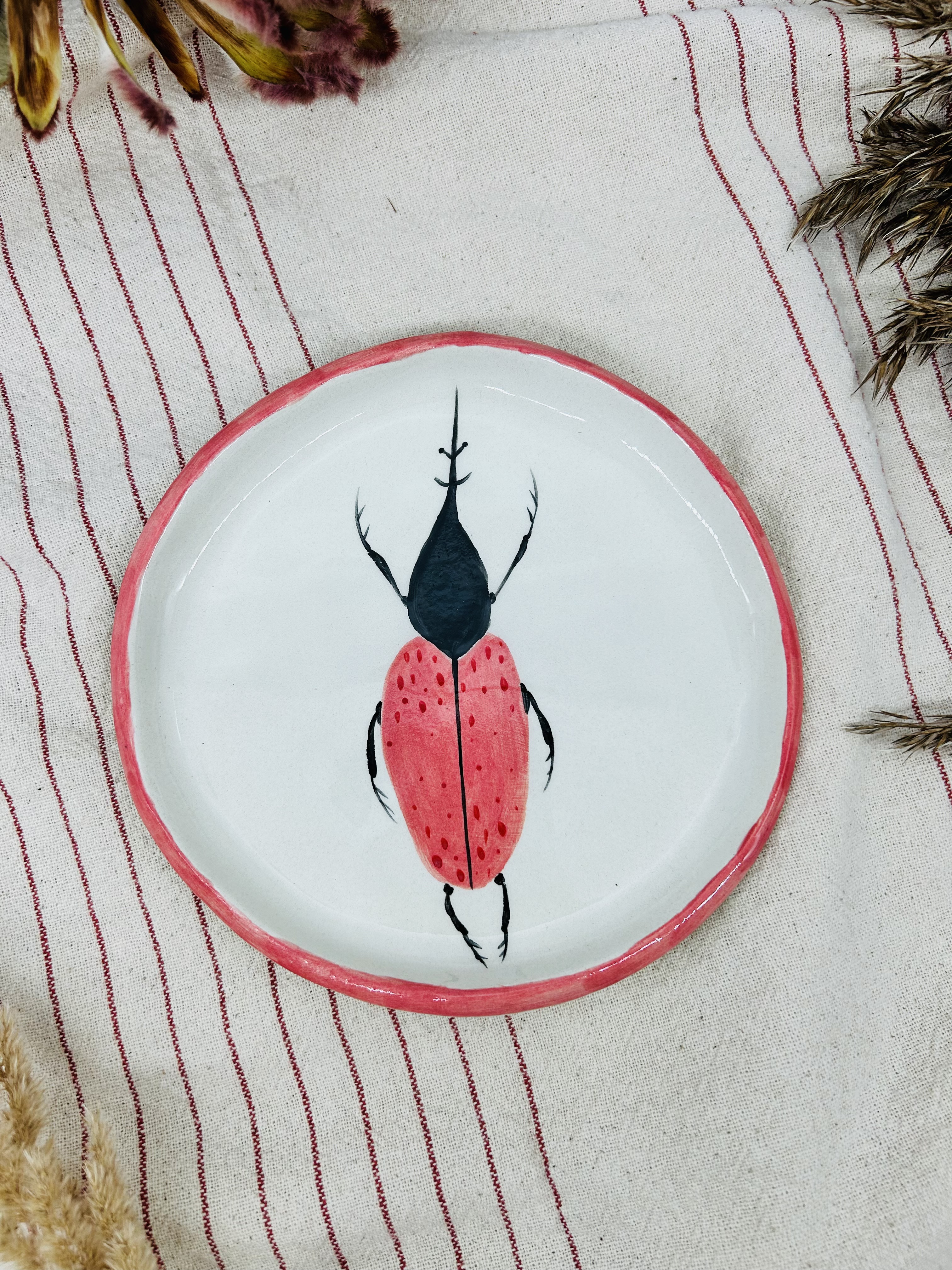 Lėkštė Spalvotas vabaliukas