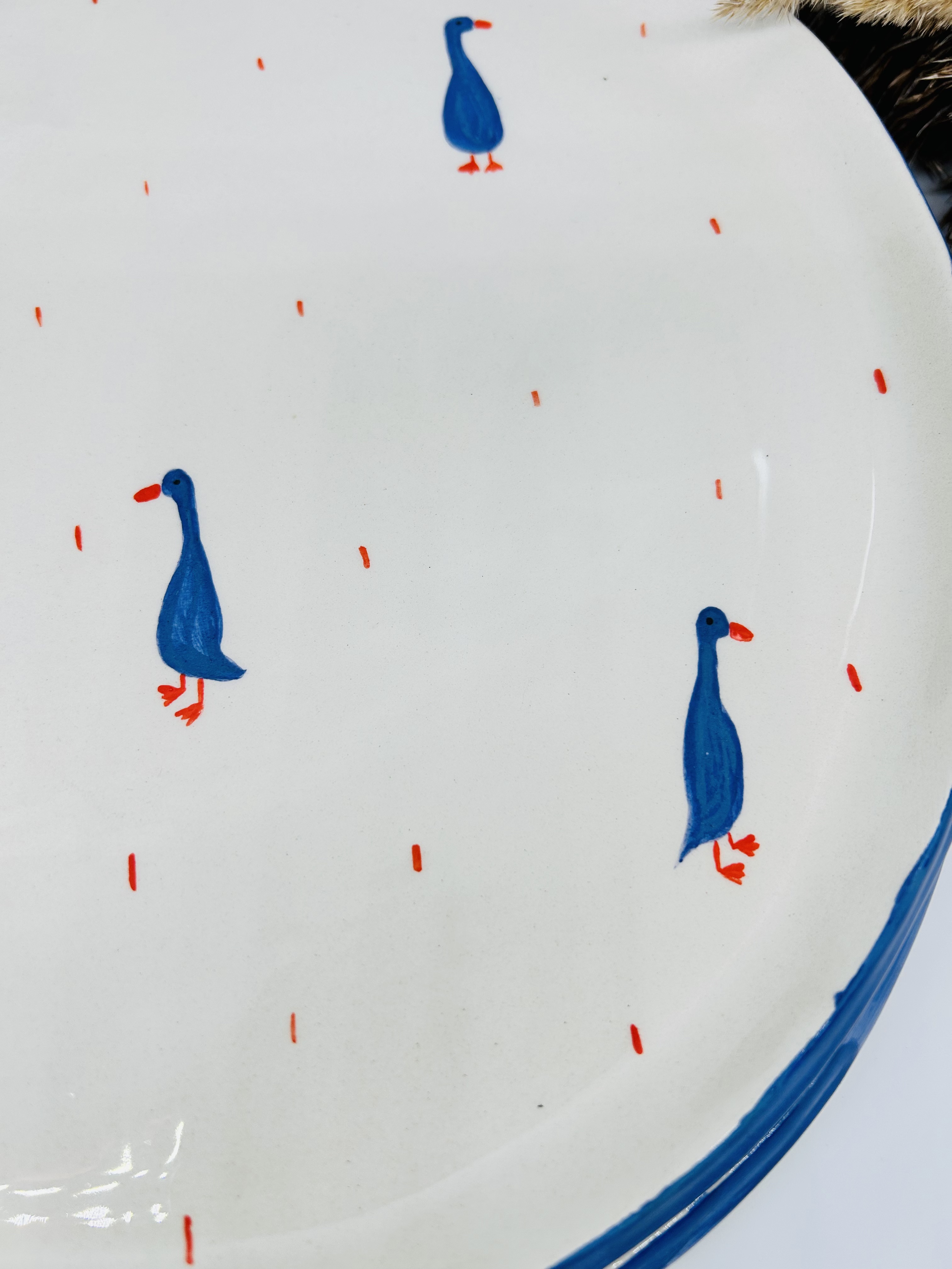 Lėkštė Kosminės antys