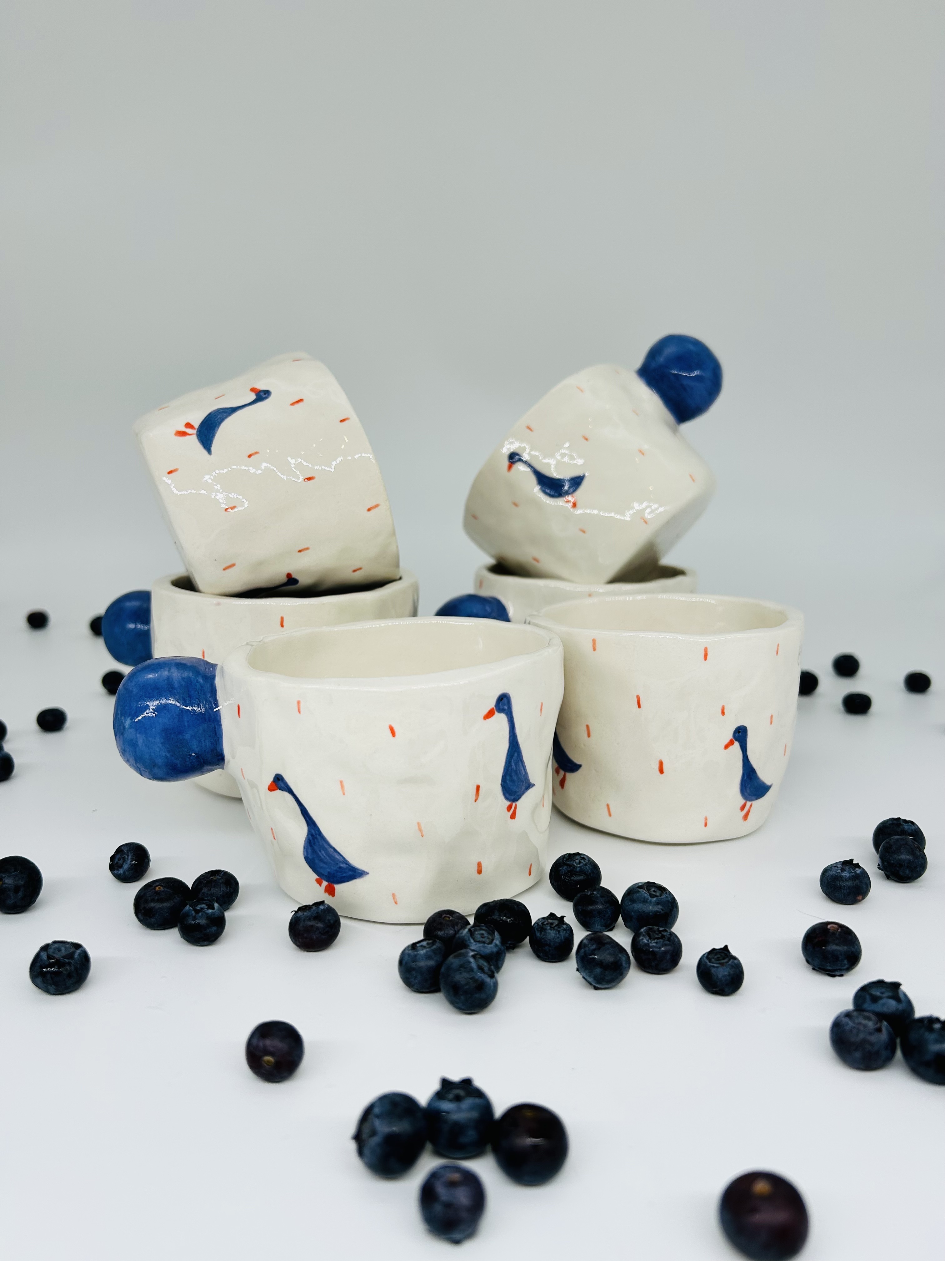 Puodelis Kosminės antys