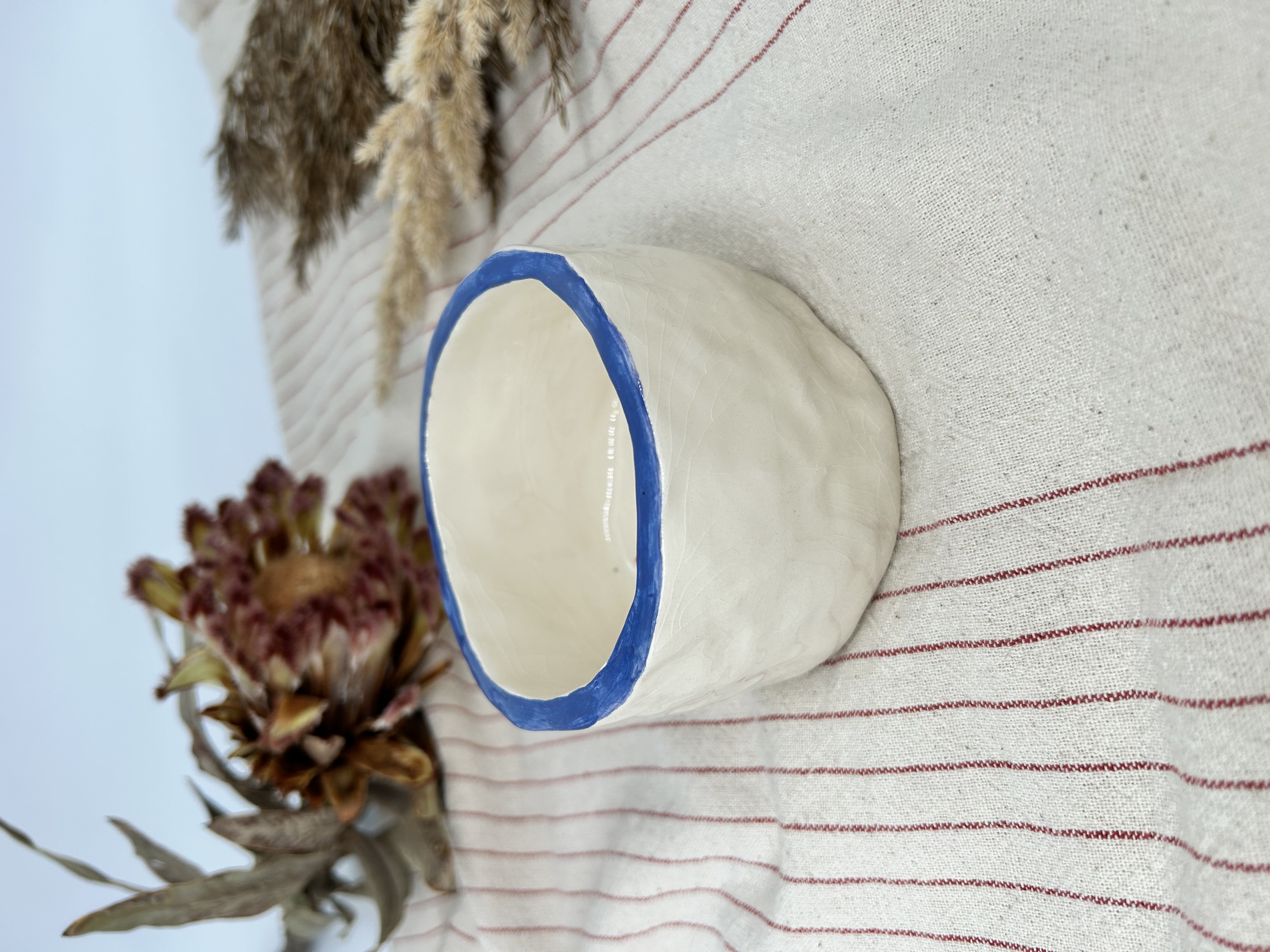 Dubenėlis Kosminės antys