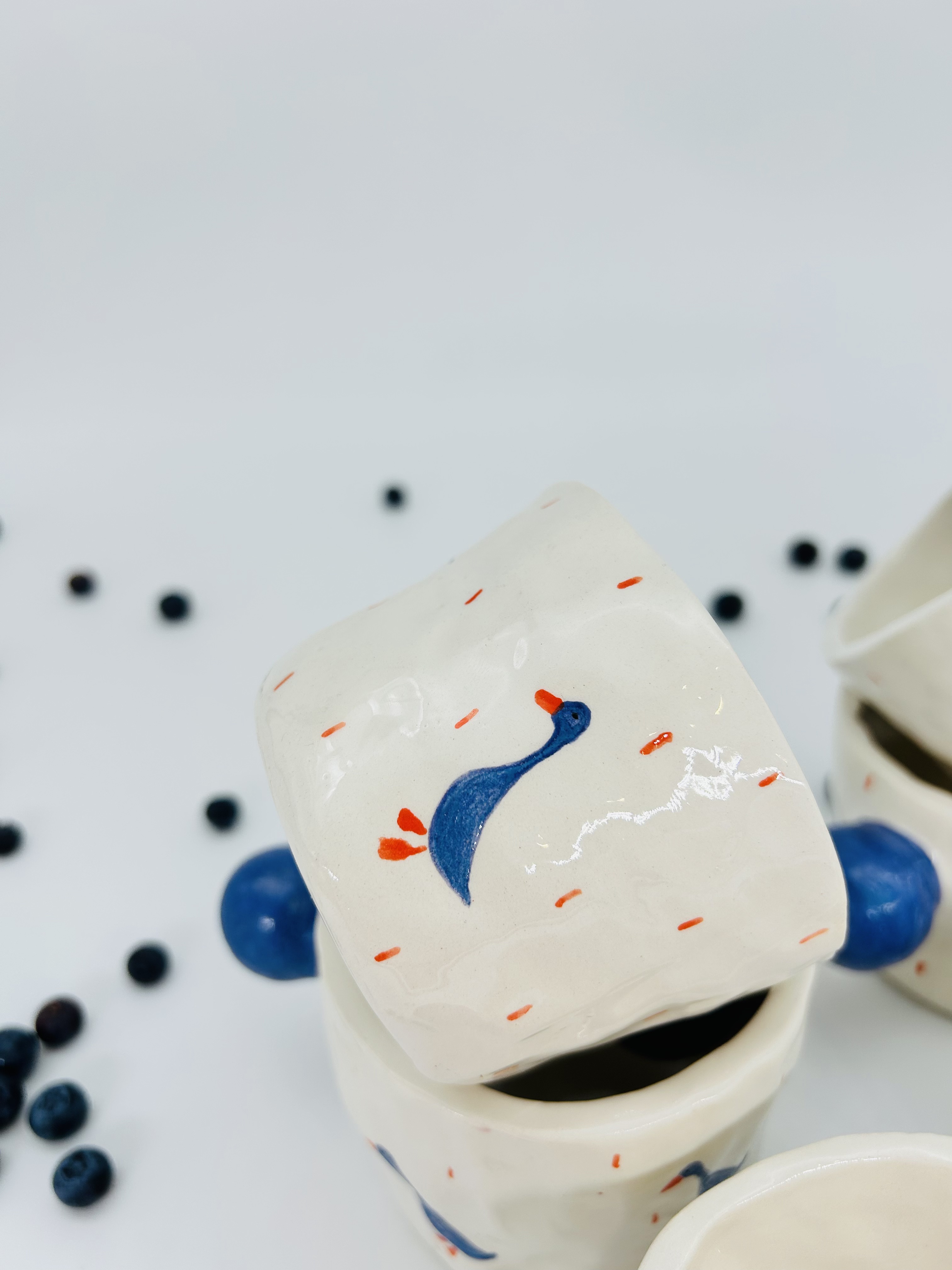 Puodelis Kosminės antys