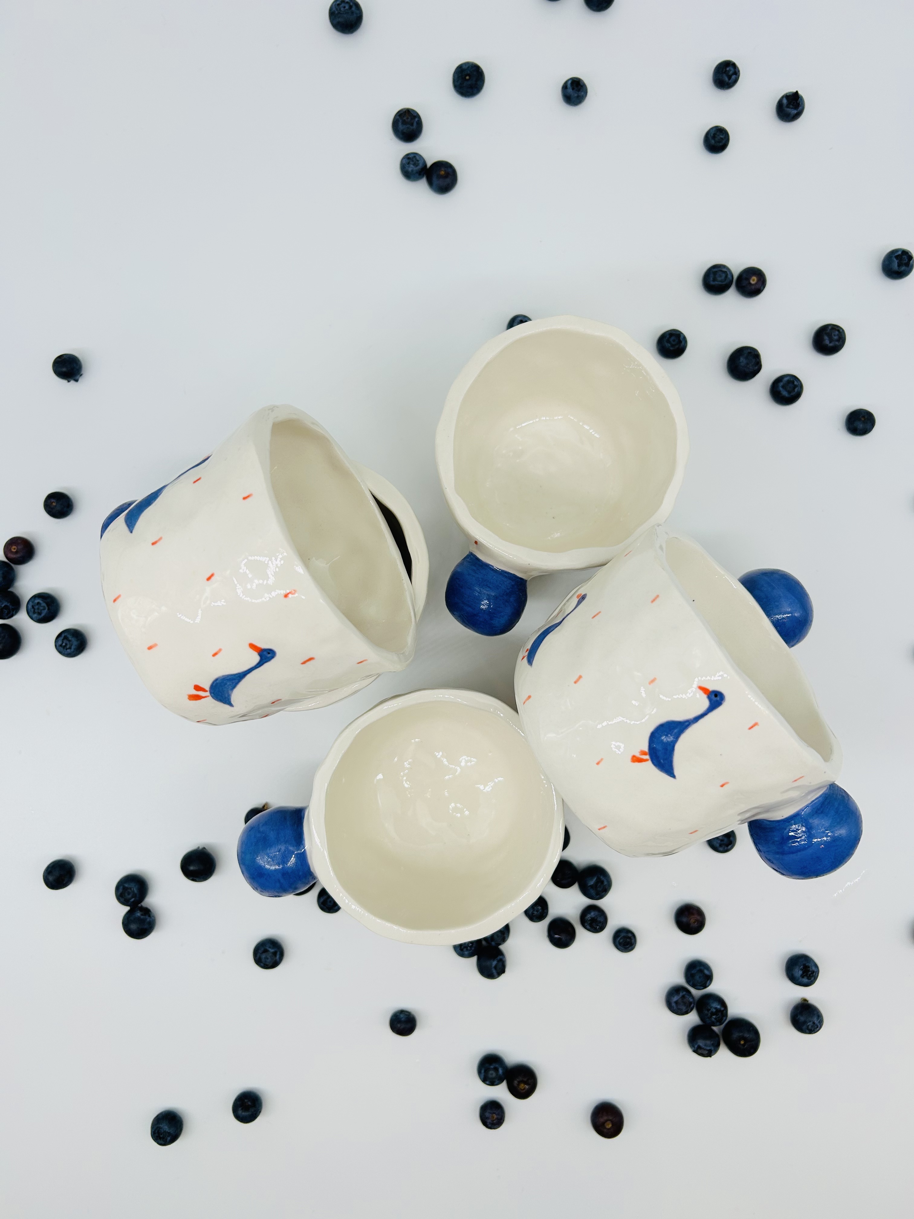 Puodelis Kosminės antys