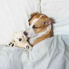 Hospedagem - Grande Porte