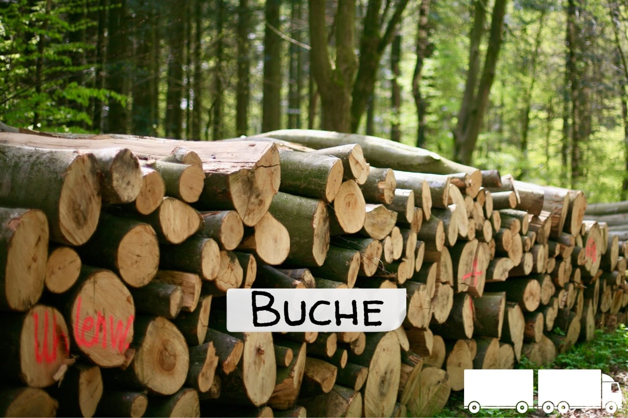 Stammholz - Buche - halbe - Lkw Ladung 