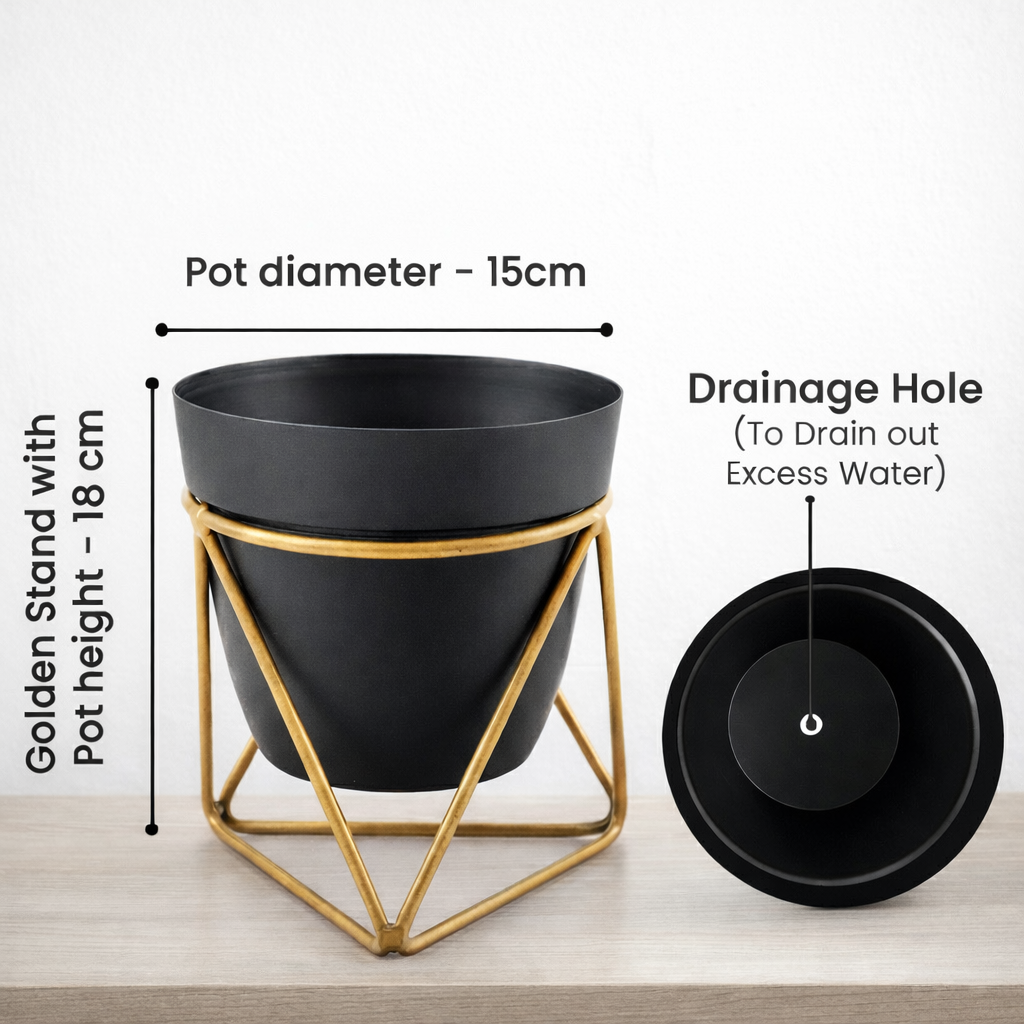 Modern Black Planter with Golden Stand