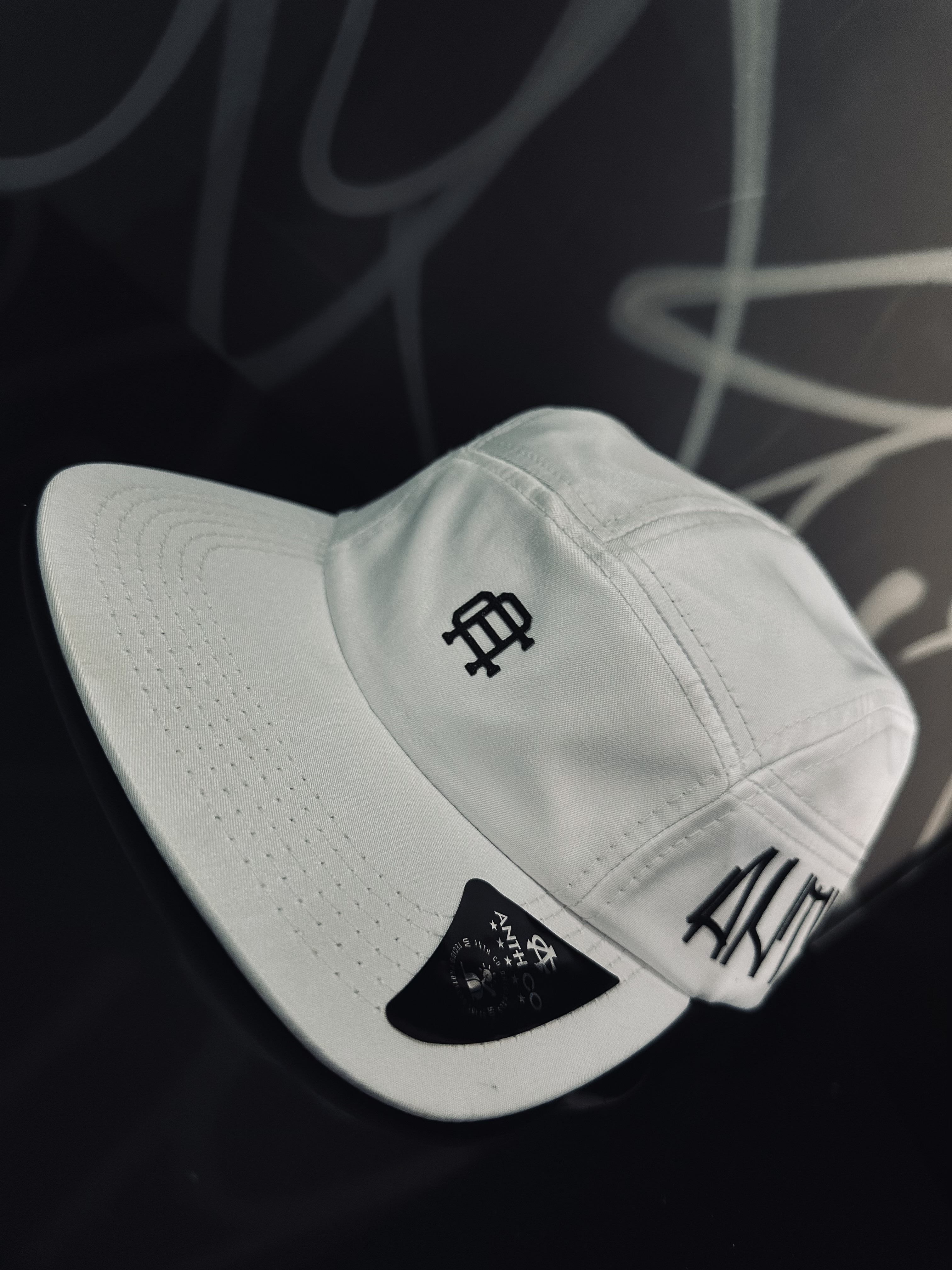 Boné Five Panel Anth Co