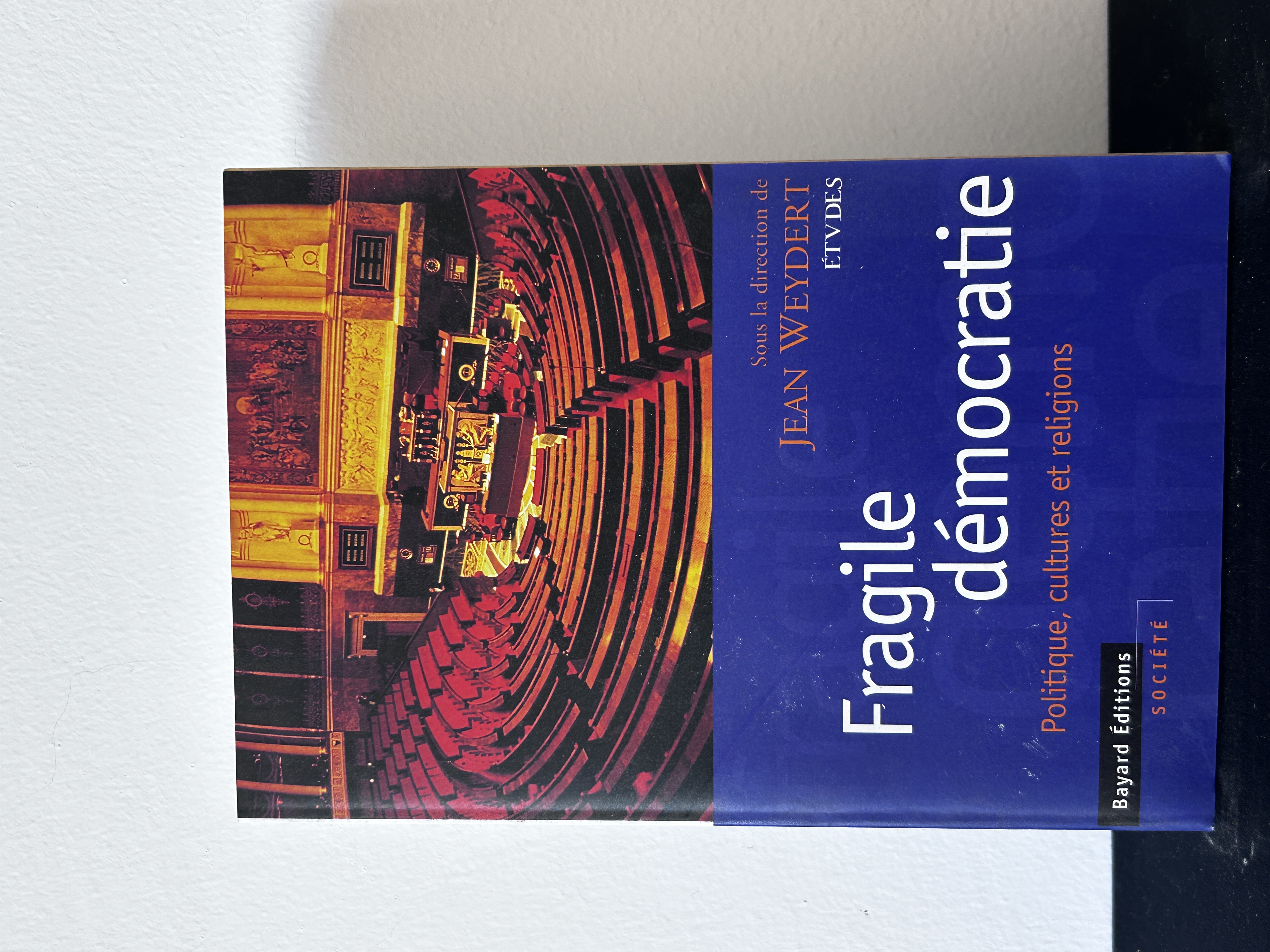 Fragile démocratie