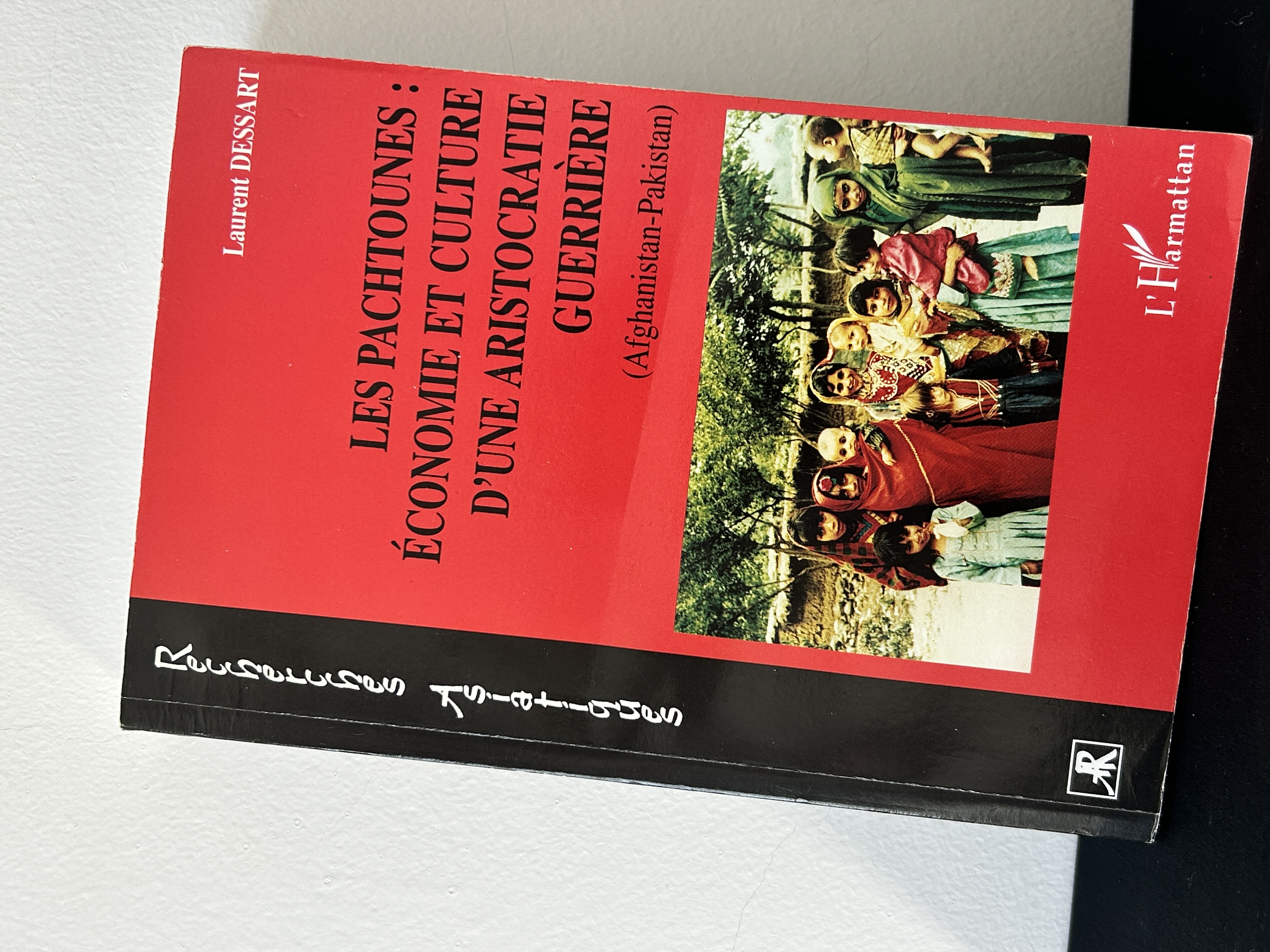 Livre sur les Pachtounes : économie et culture
