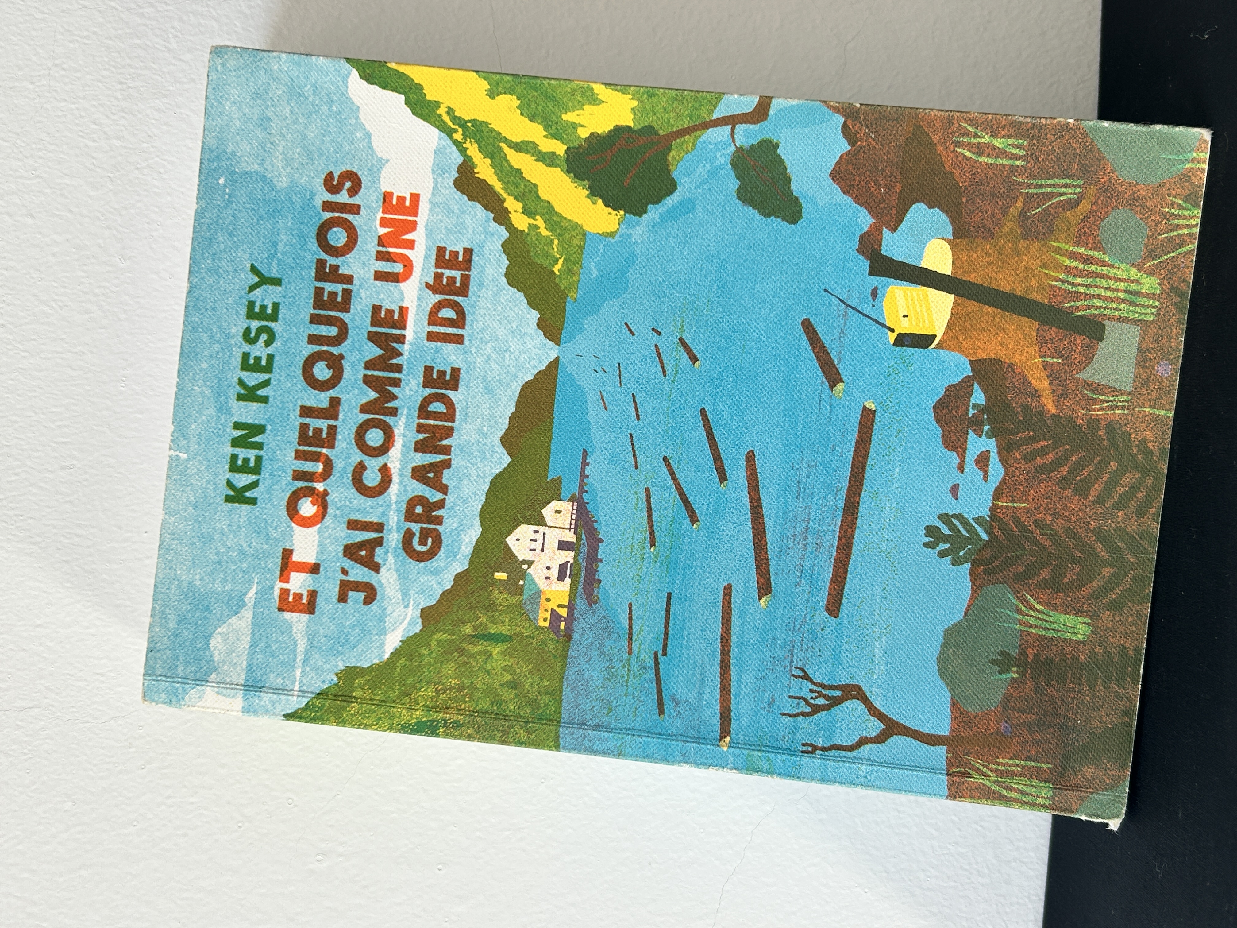 Et quelquefois j'ai comme une grande idée