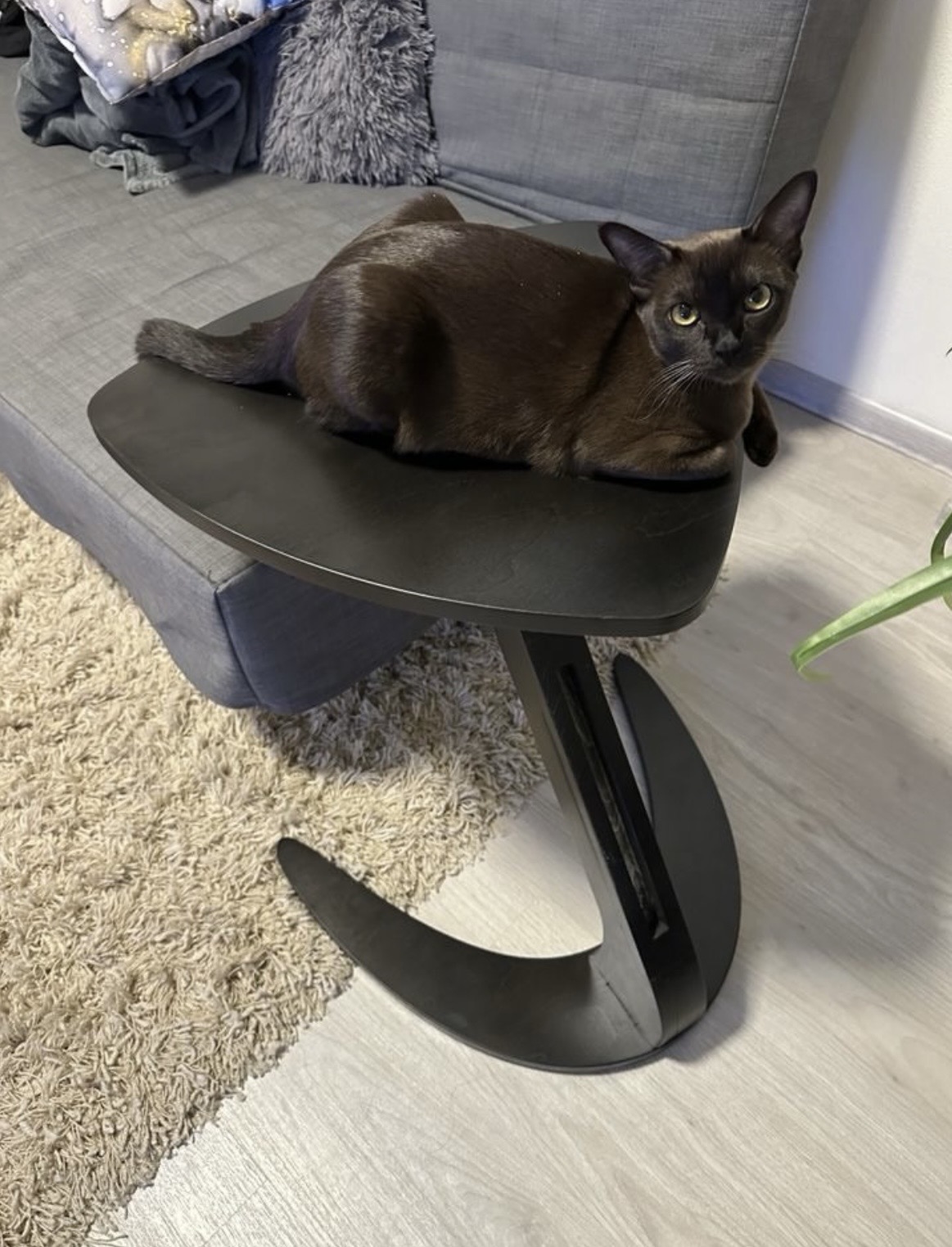 طاولة البطة خشبية فاخرة