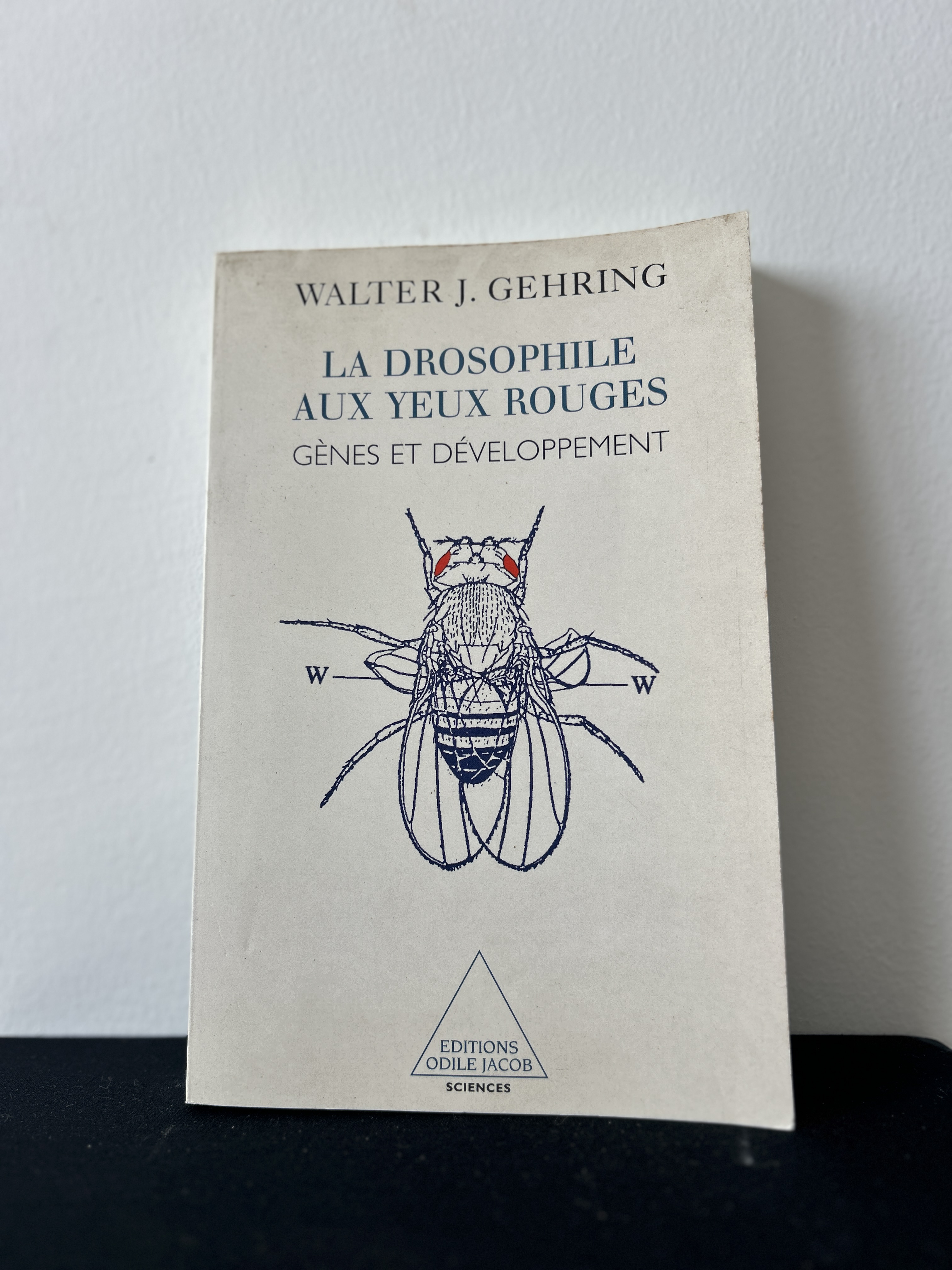 La drosophile aux yeux rouges : Gènes et développement — Walter J. Gehring