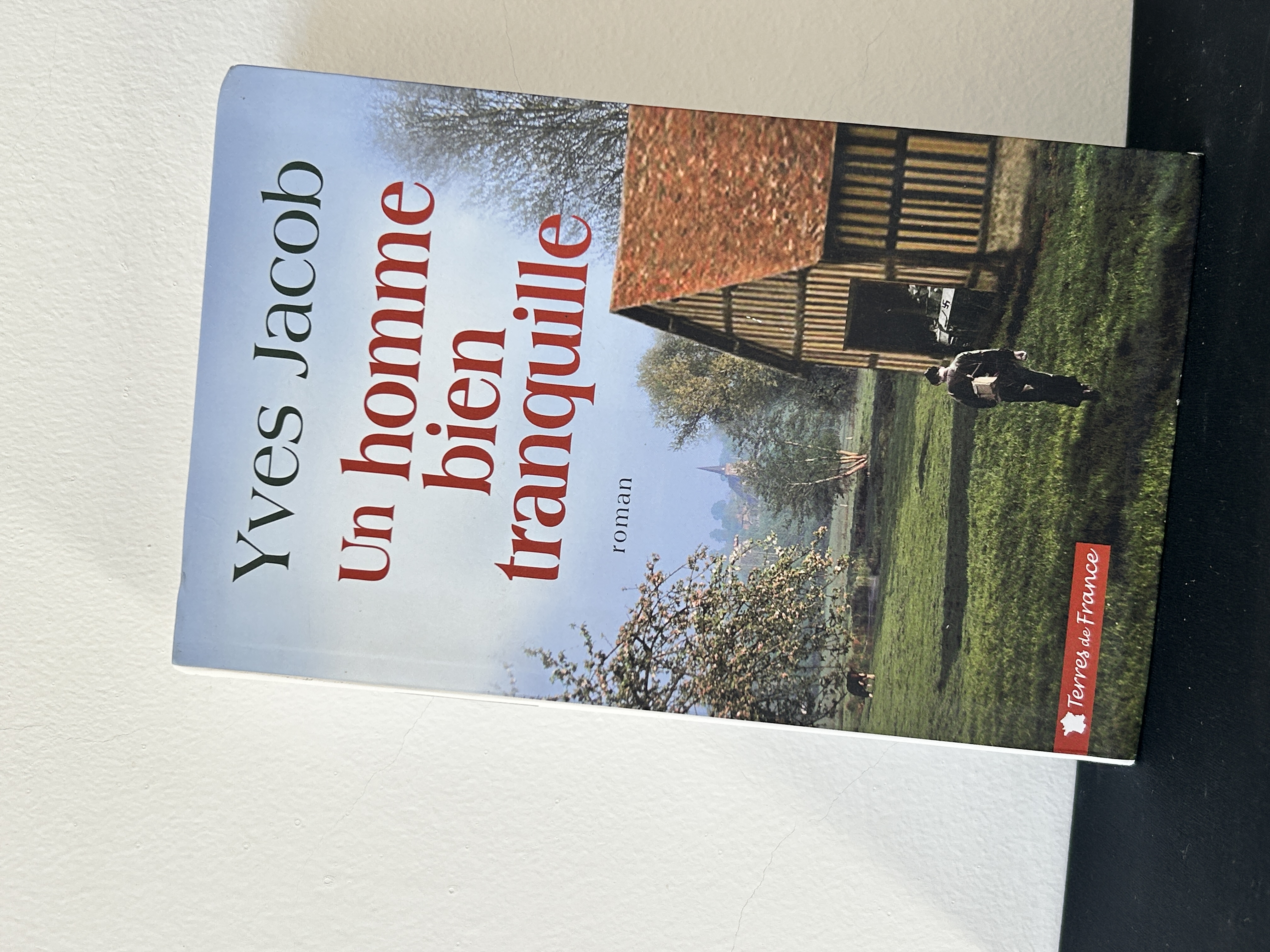 Roman : Un homme calme