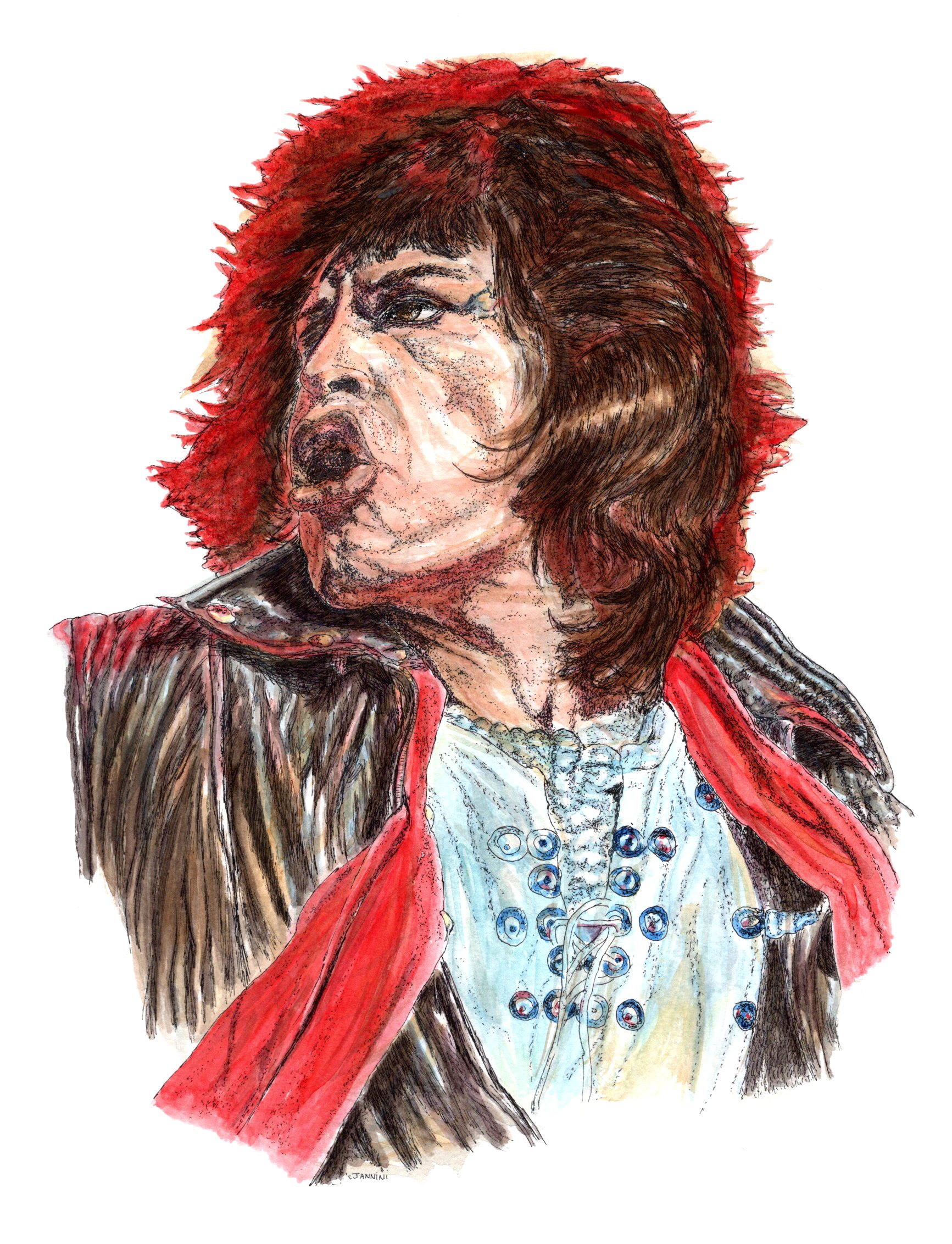 Mick Jagger The Rolling Stones