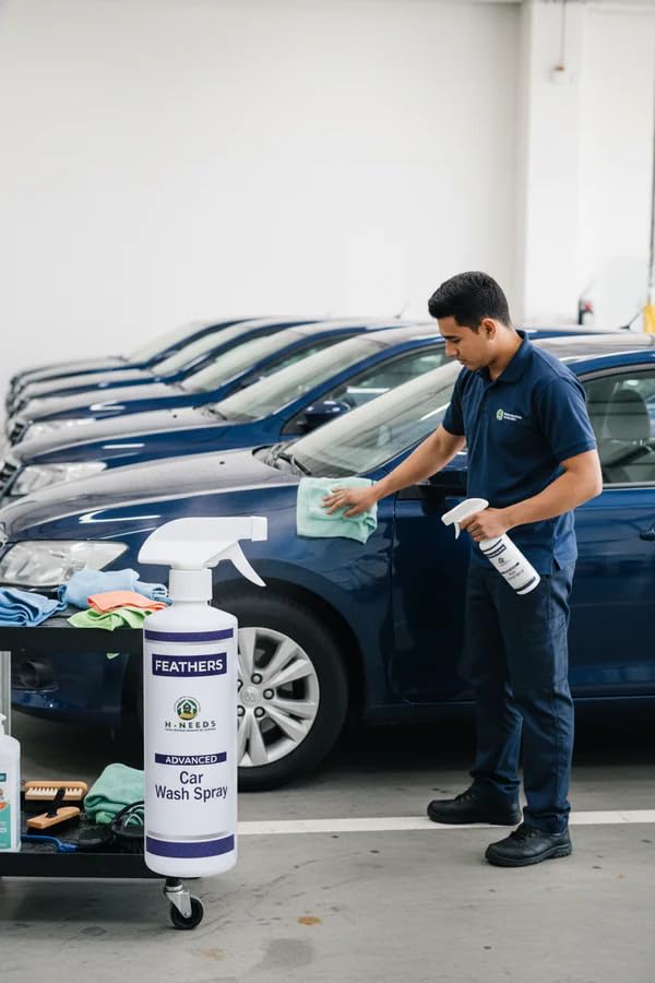 Feathers Car Wash Spray