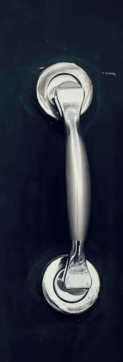 Stainless Steel Door Handle