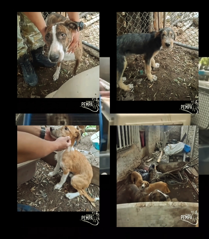 Histórico fallo en Mendoza