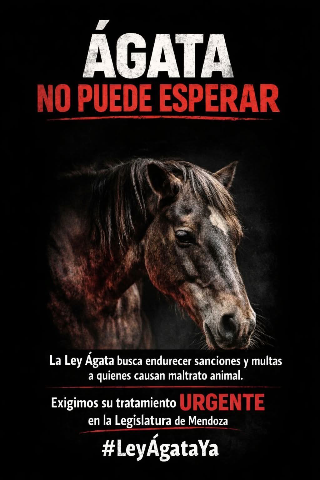 ÁGATA NO PUEDE ESPERAR